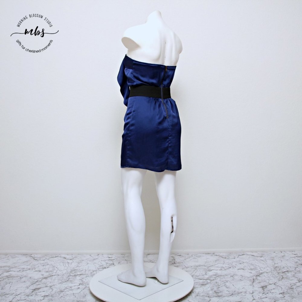 Kaitlyn Ruffle Belt Strapless Mini Dress - Picture 3 of 10